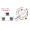 CARIOCA® 6mm Magic Color Change Felt Tip Pen Set